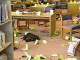 Damages to the school library