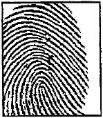 Dylan's fingerprint