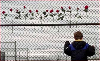 13 roses tucked into the fence at the Columbine High tennis courts